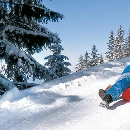 Alpenpark Superior Ξενοδοχείο Ζέεφελντ
